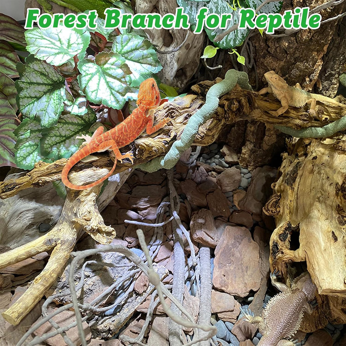 Reptile Branch Decor, Snake Climbing Wood Branches, Terrarium Logs