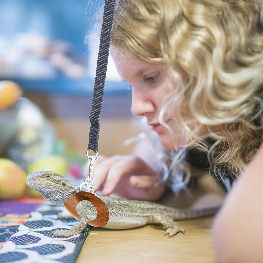 Bearded Dragon Harness and Leash Set