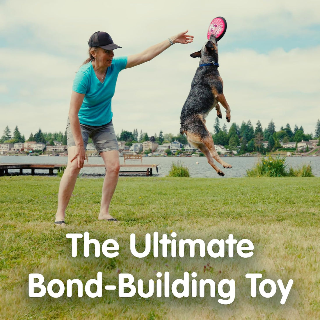 The ZooKeeper ZooBee Flying Disc Dog Toy – Soft & Durable Toss Disc