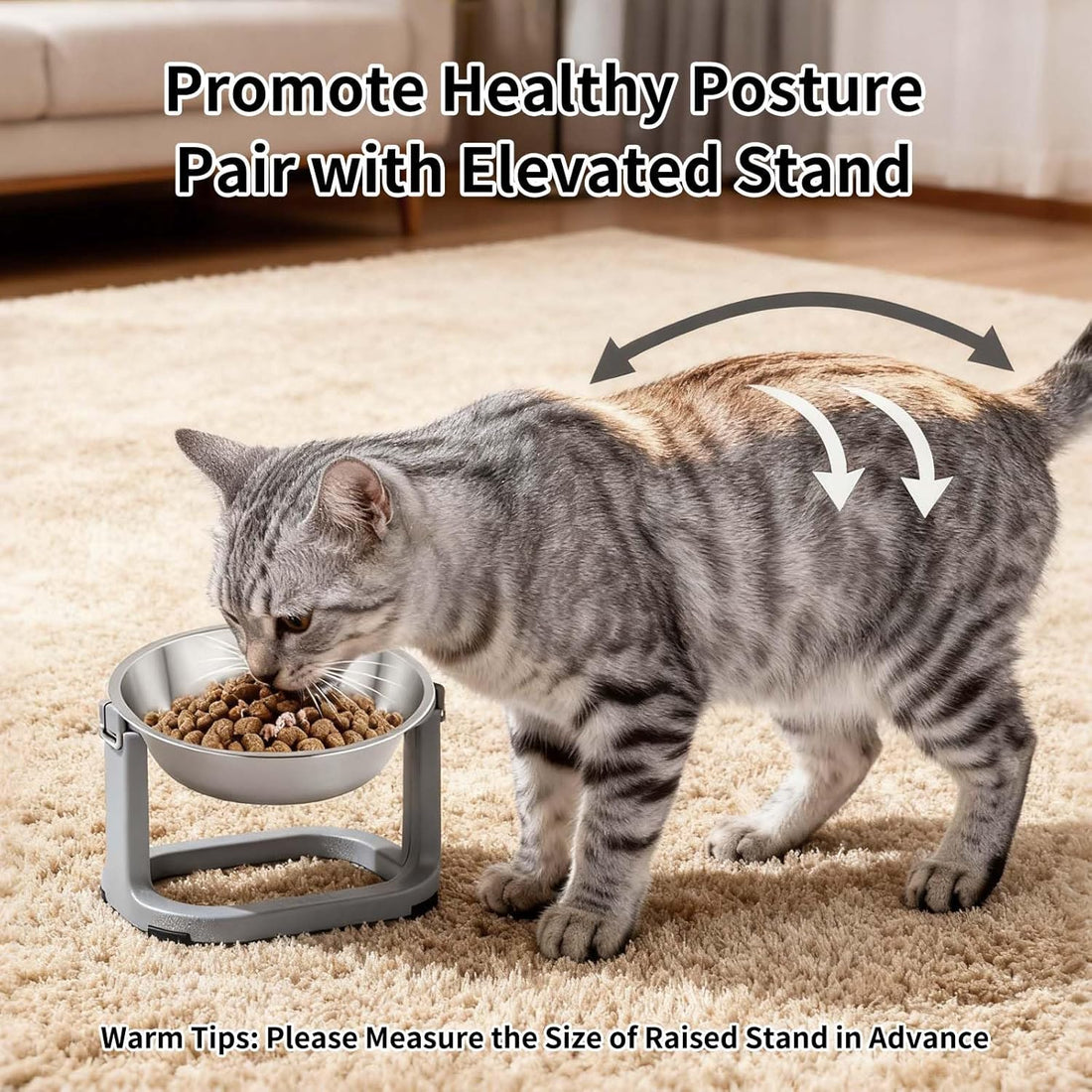 Tifanso 6PCS Stainless Steel Cat Bowls Dishes