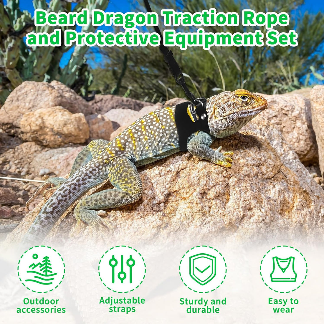 3Size Black Bearded Dragon Leash and Harness Set with Lizard Traction
