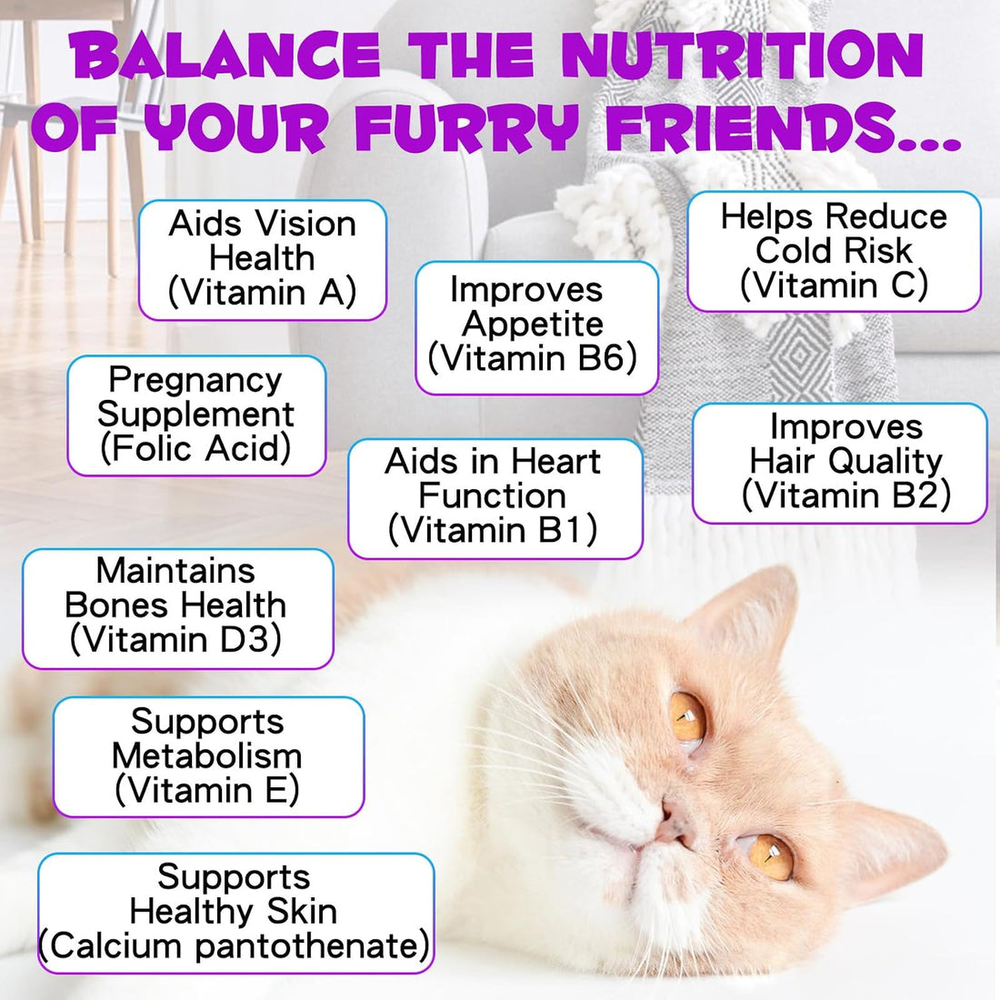 Cat Multivitamin Drops - 15 in 1 Vitamin Supplement for Immune Support
