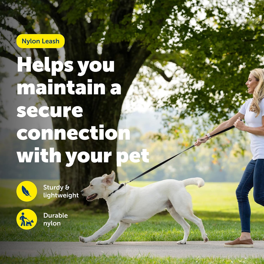 PetSafe Nylon Traditional Dog Leash with Bolt Snap