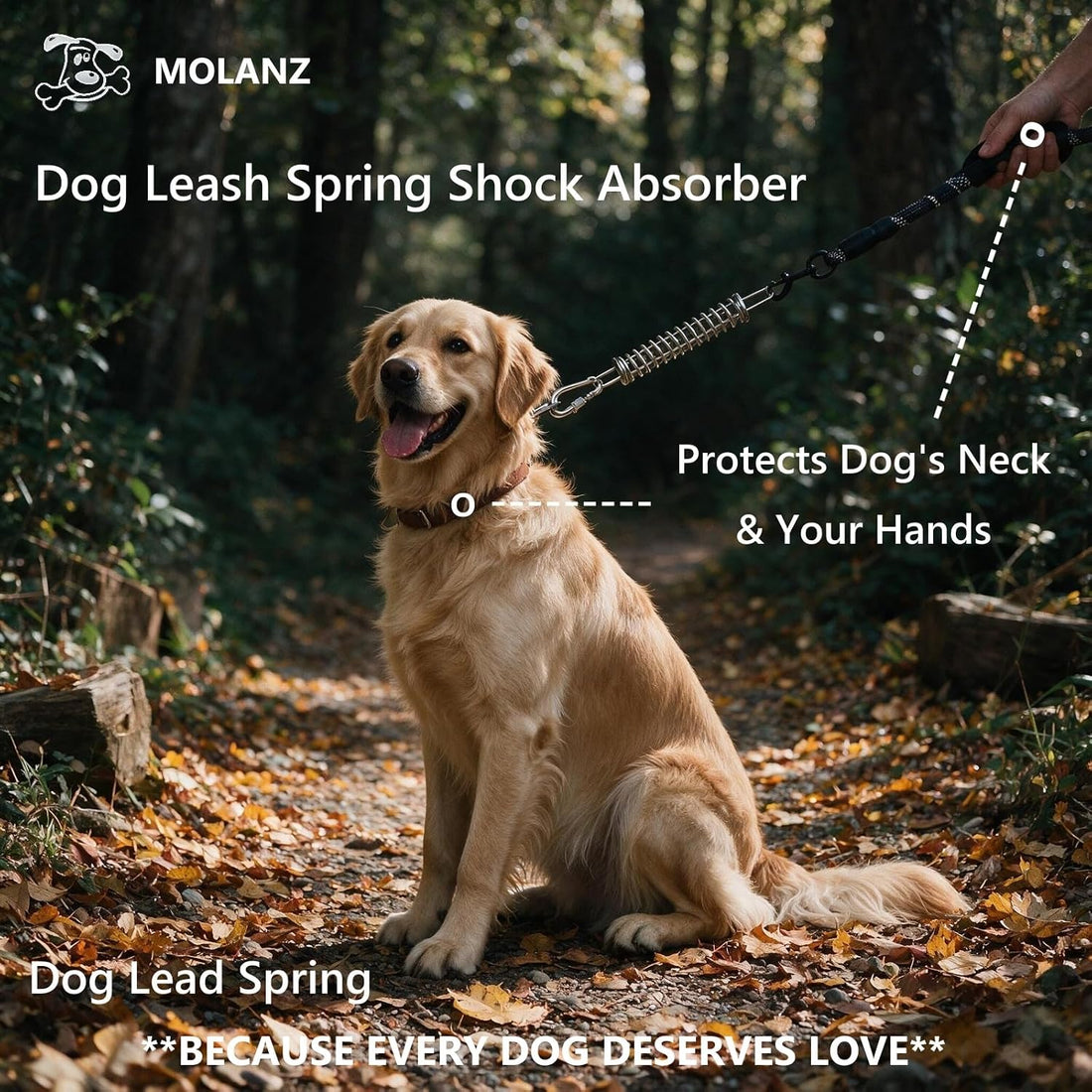 MOLANZ Dog Tie Out Spring Shock Absorber, Dog Lead