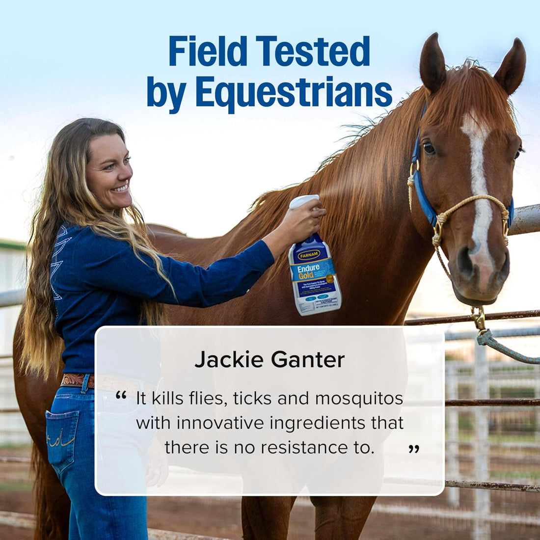 Farnam Endure Gold Killer Fly Spray for Horses, Kills Biting Flies
