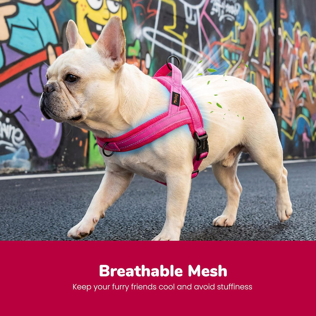 Didog No Pull Dog Harness for Small Dogs