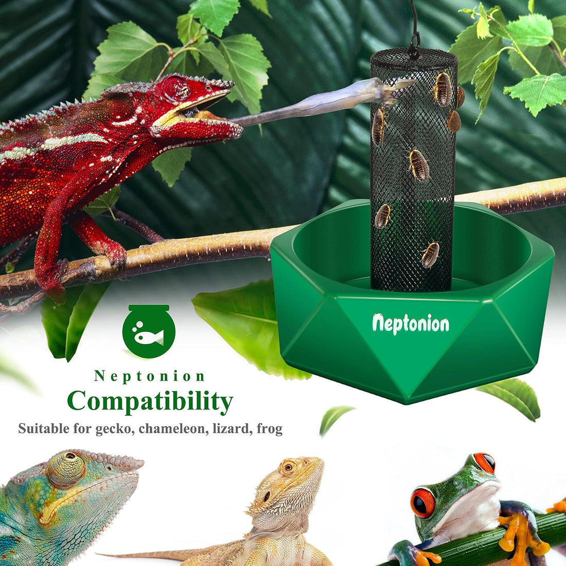 Hookable Chameleon Feeding Bowl