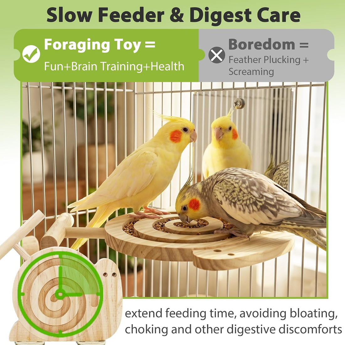Bird Foraging Toys with Perch, for Novice/Older/Slow-Learning Birds