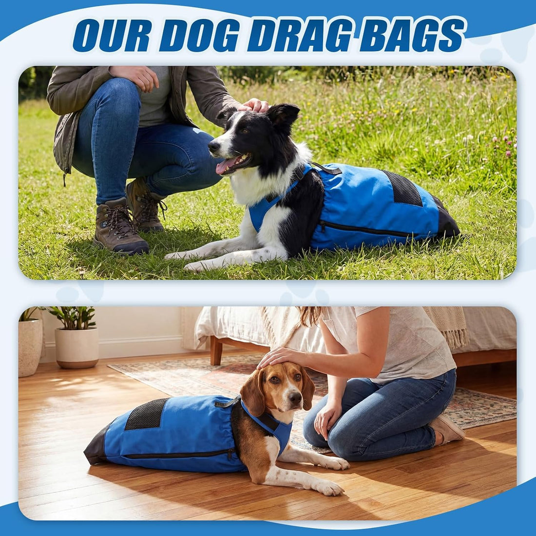 Sadnyy Drag Bags for Paralyzed Dogs & Cats