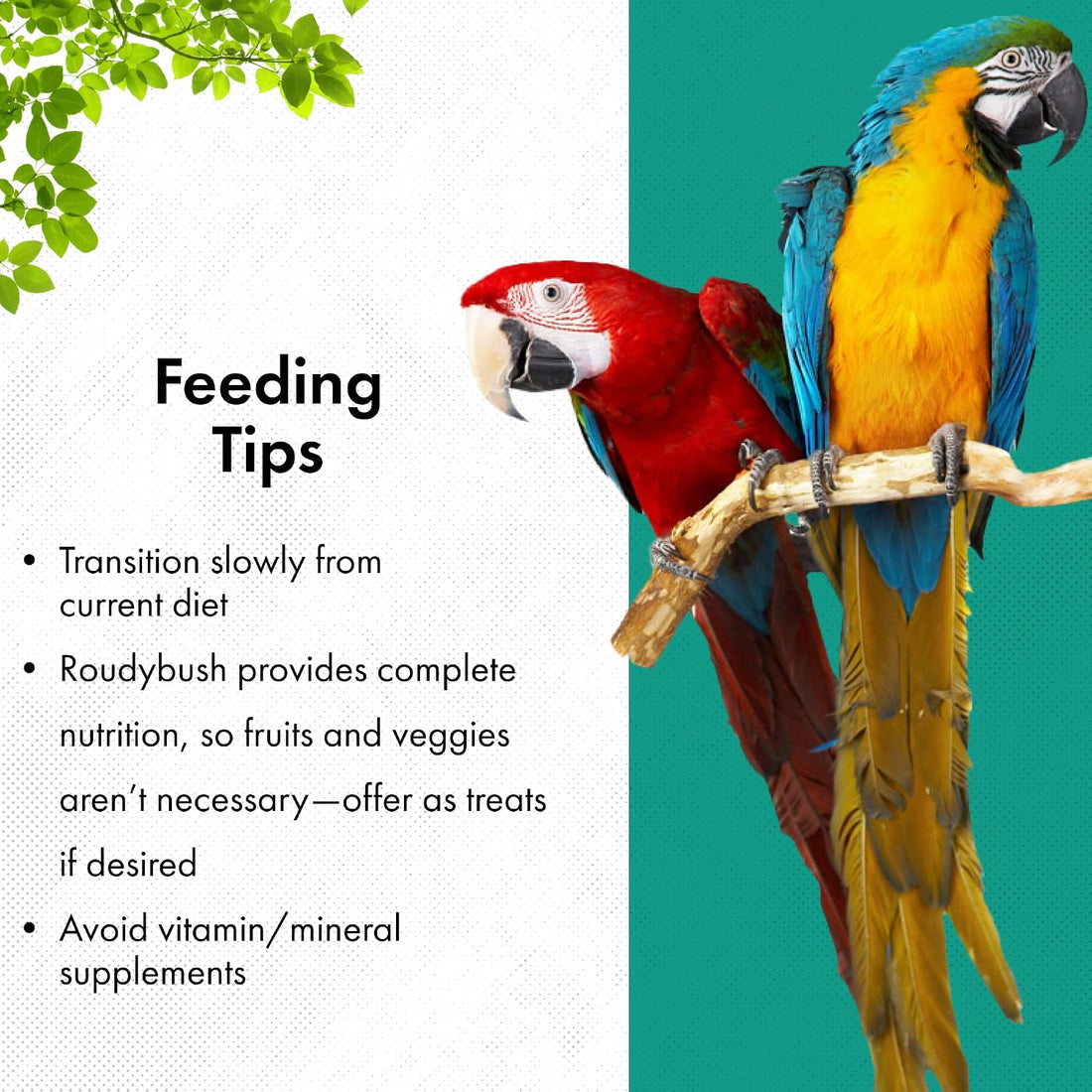 RoudyBush California Blend Bird Food