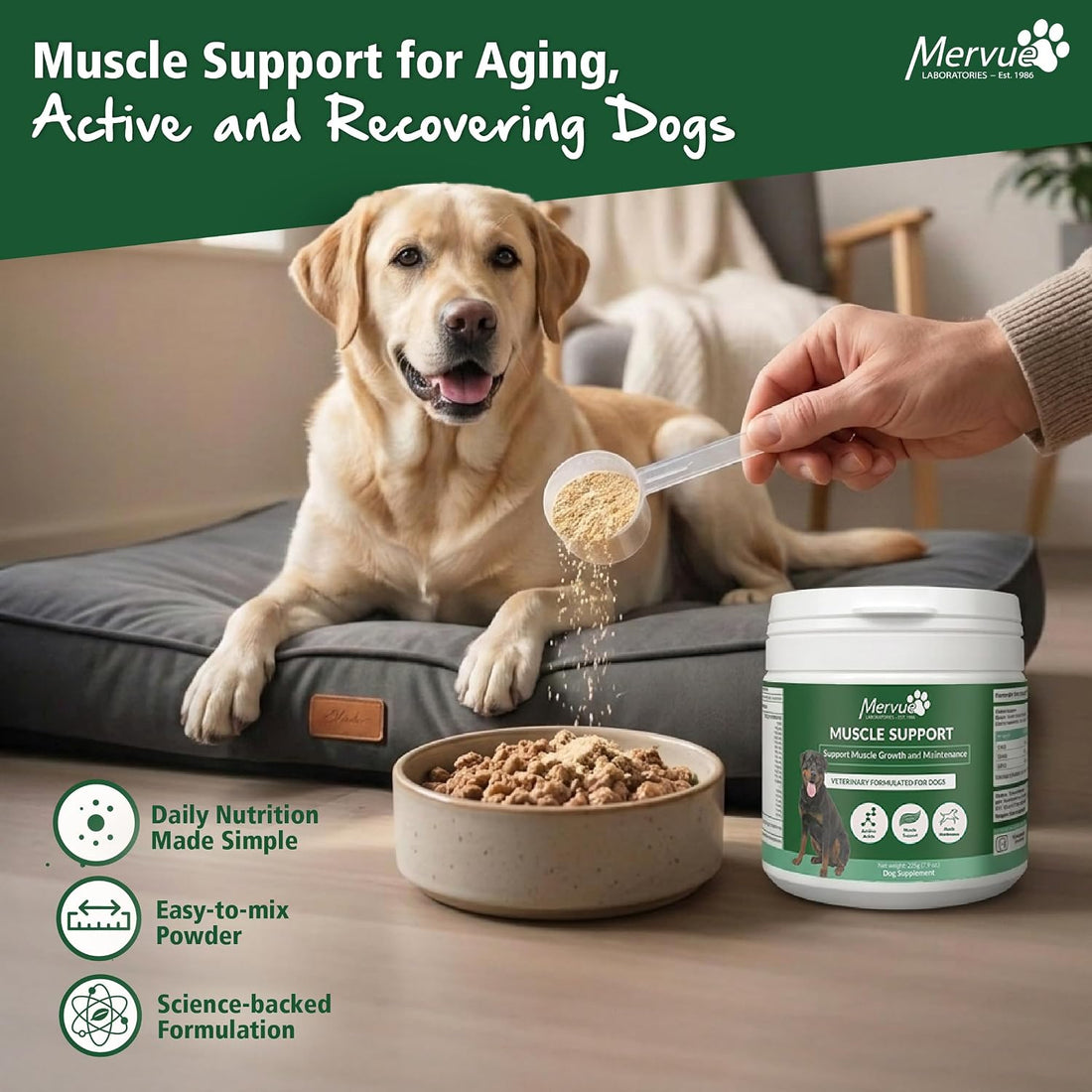 Mervue Muscle Builder for Dogs - L-Carnitine, BCAAs