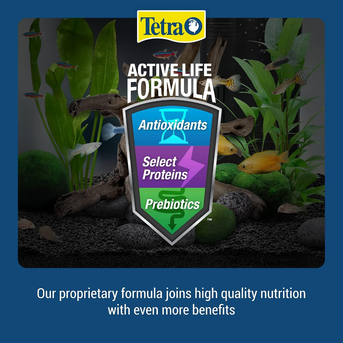 Tetra Cichlid Floating Cichlid Pellets Fish Food, 6 oz
