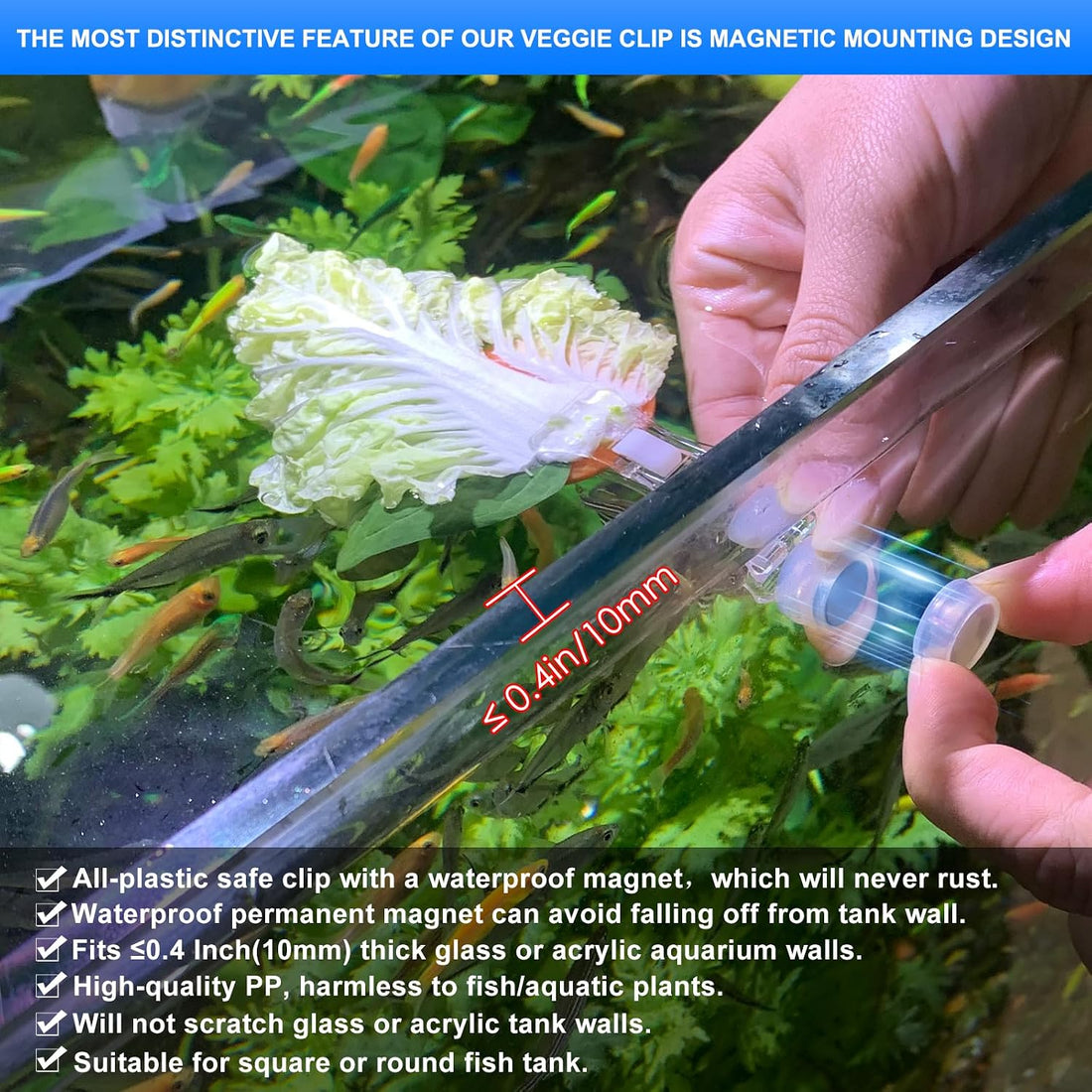 Magnetic Aquarium Veggie Clip Plant Feeding nori Seaweed Clip