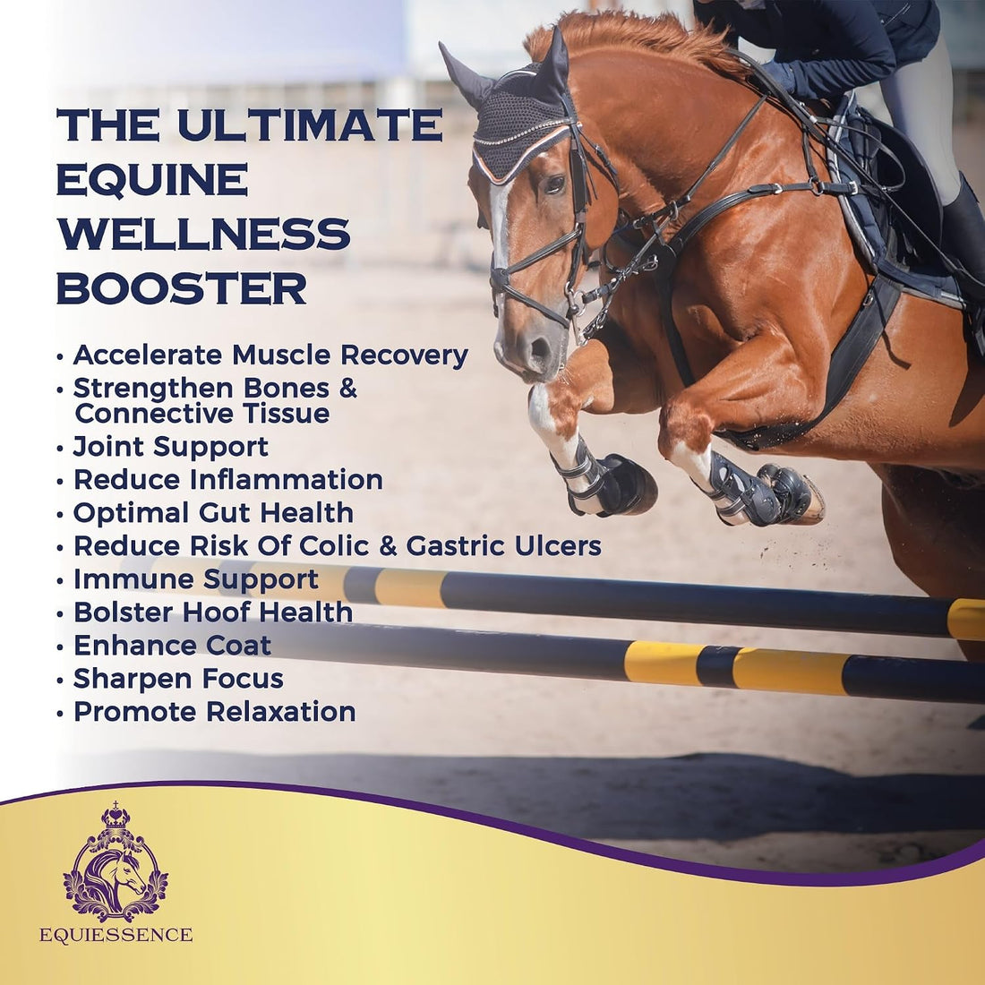 Vital Amino Blend - Horse Care, Coat & Hoof - Performance Horse