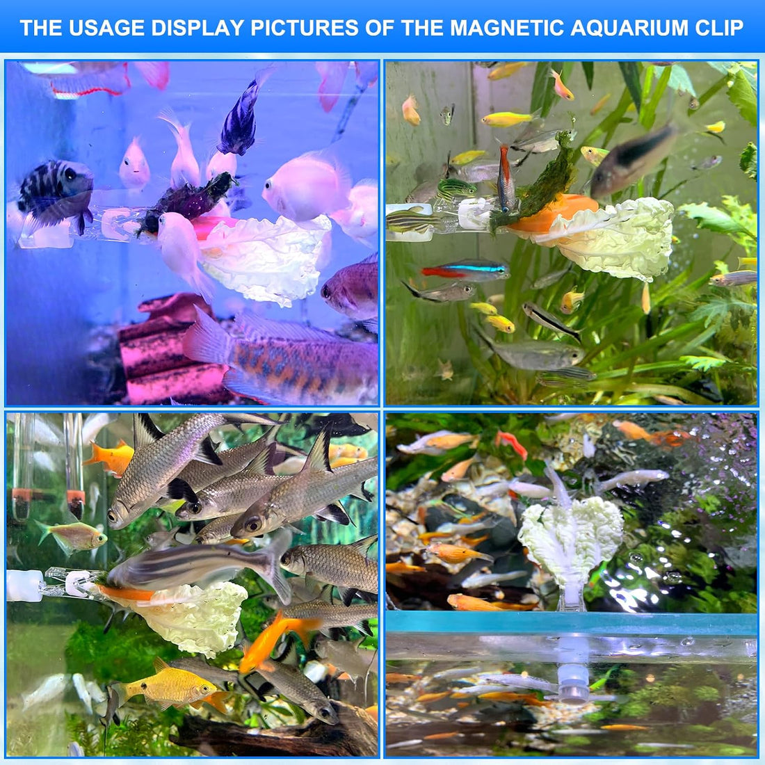 Magnetic Aquarium Veggie Clip Plant Feeding nori Seaweed Clip