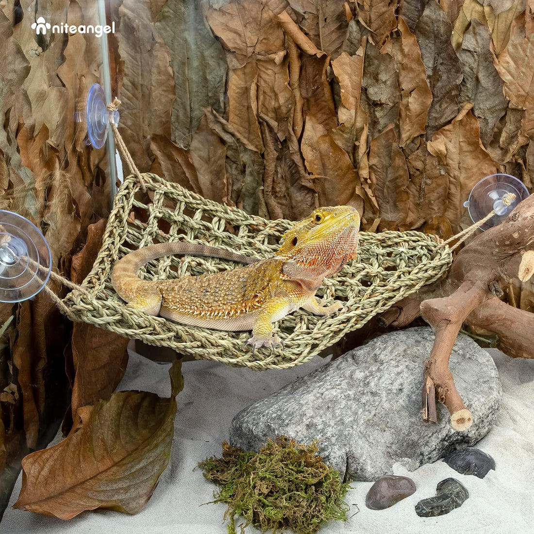 Niteangel Bearded Dragon Seagrass Hammock: Triangle 17'' x 12.5''