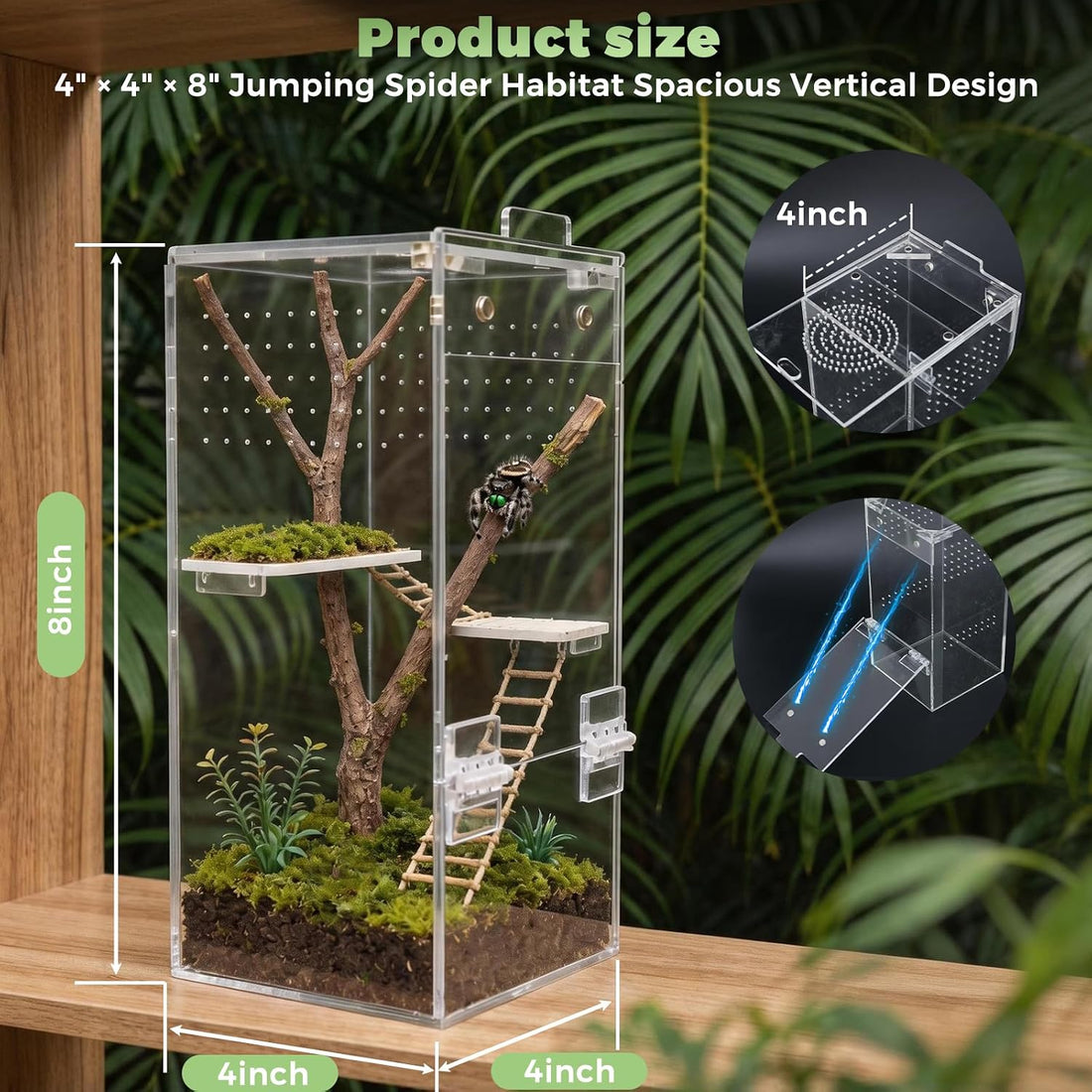 Jumping Spider Enclosure 4" x 4" x 8" Acrylic Habitat Kit