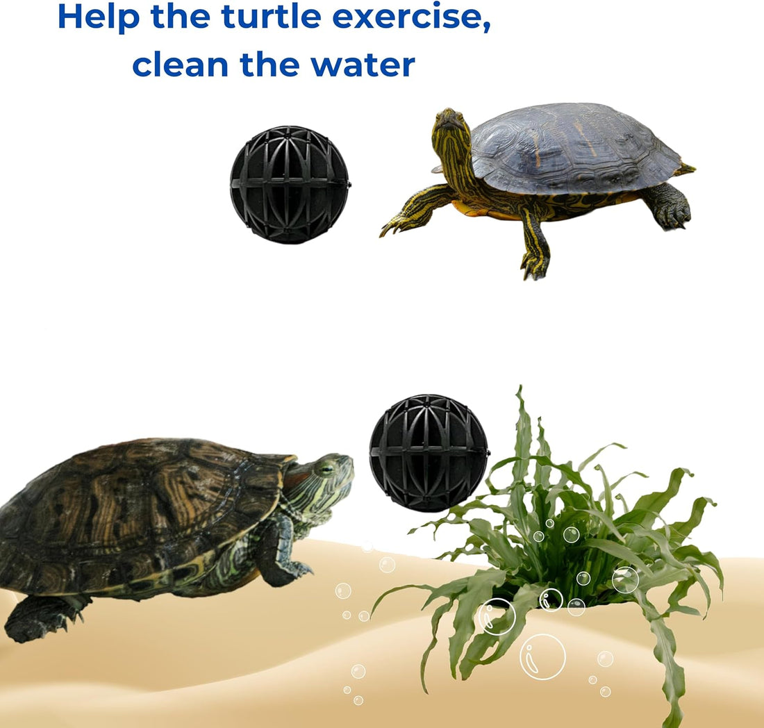 Turtle Feeding Ring for Fish Tank and 4pcs Nitrifying Balls Set