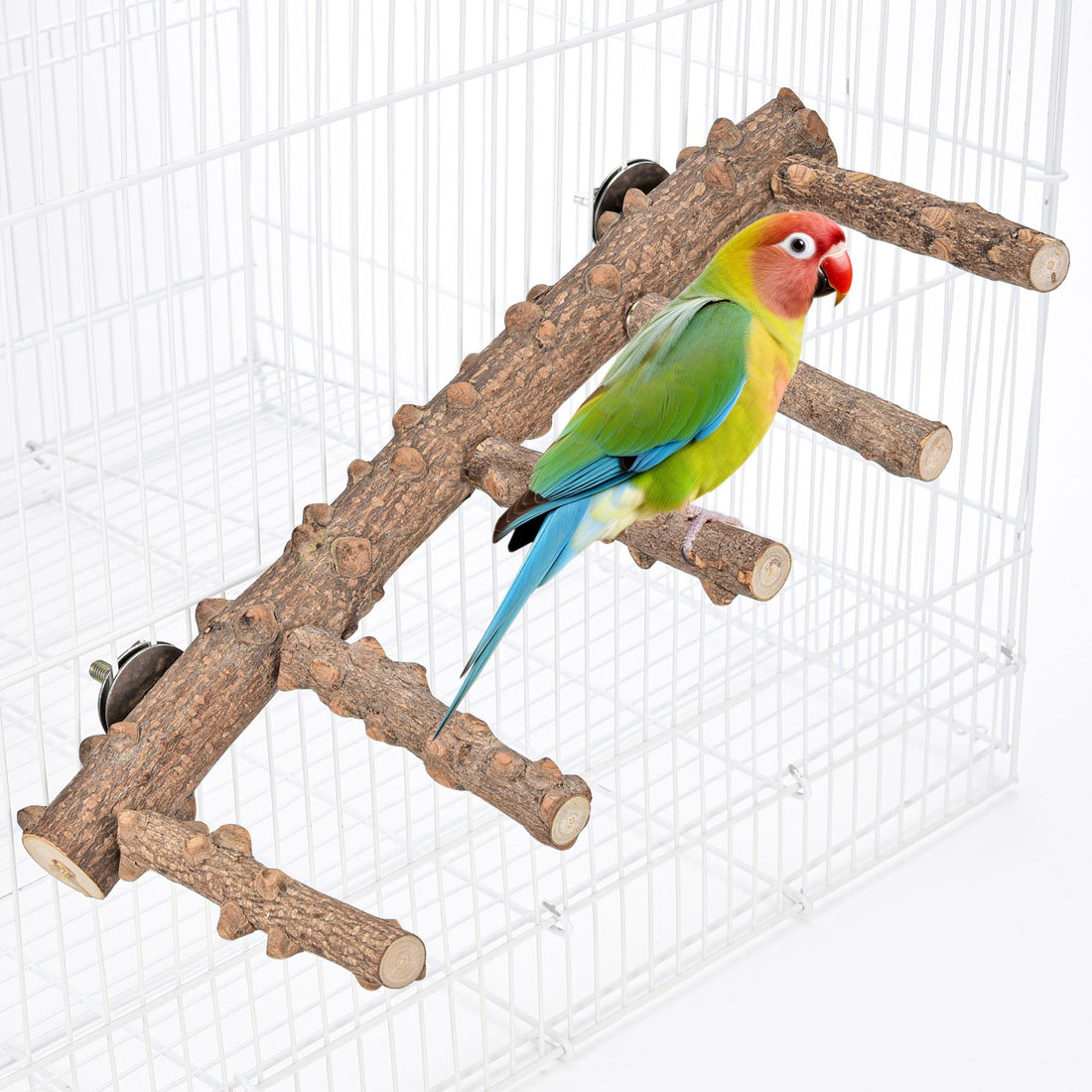 Mogoko Bird Ladder Perch for Cage