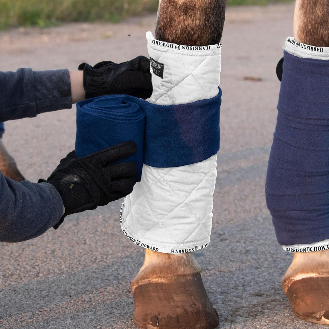 Harrison Howard Quilted Horse Leg Wraps