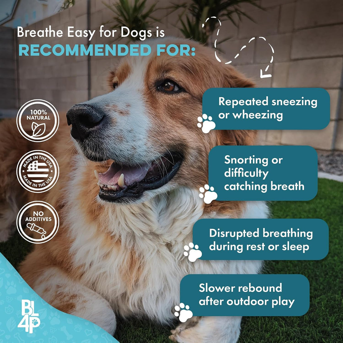BestLife4Pets Breathe Easy Natural Cough Relief for Dogs