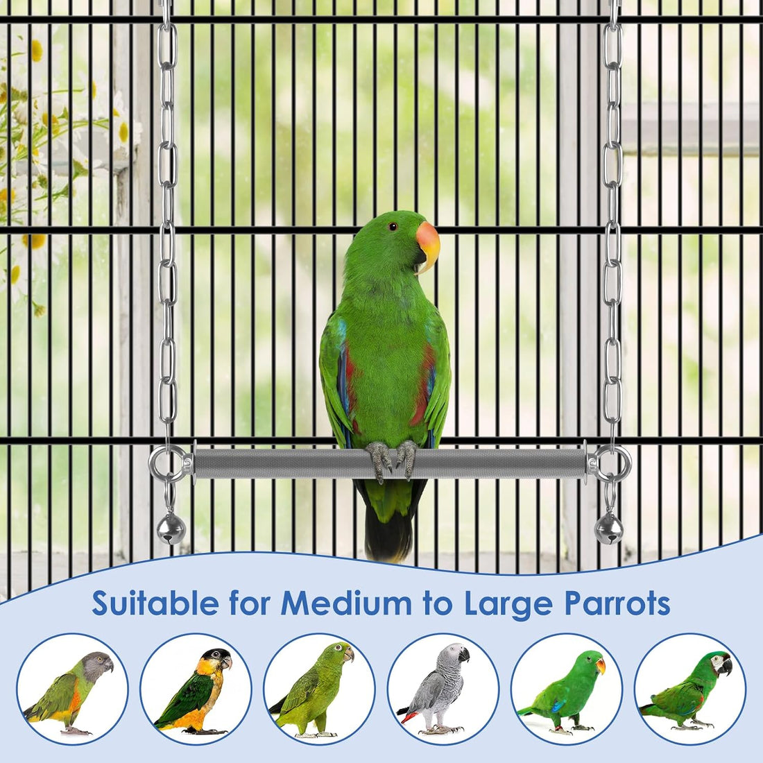 DBNESS Stainless Steel Large Bird Swing