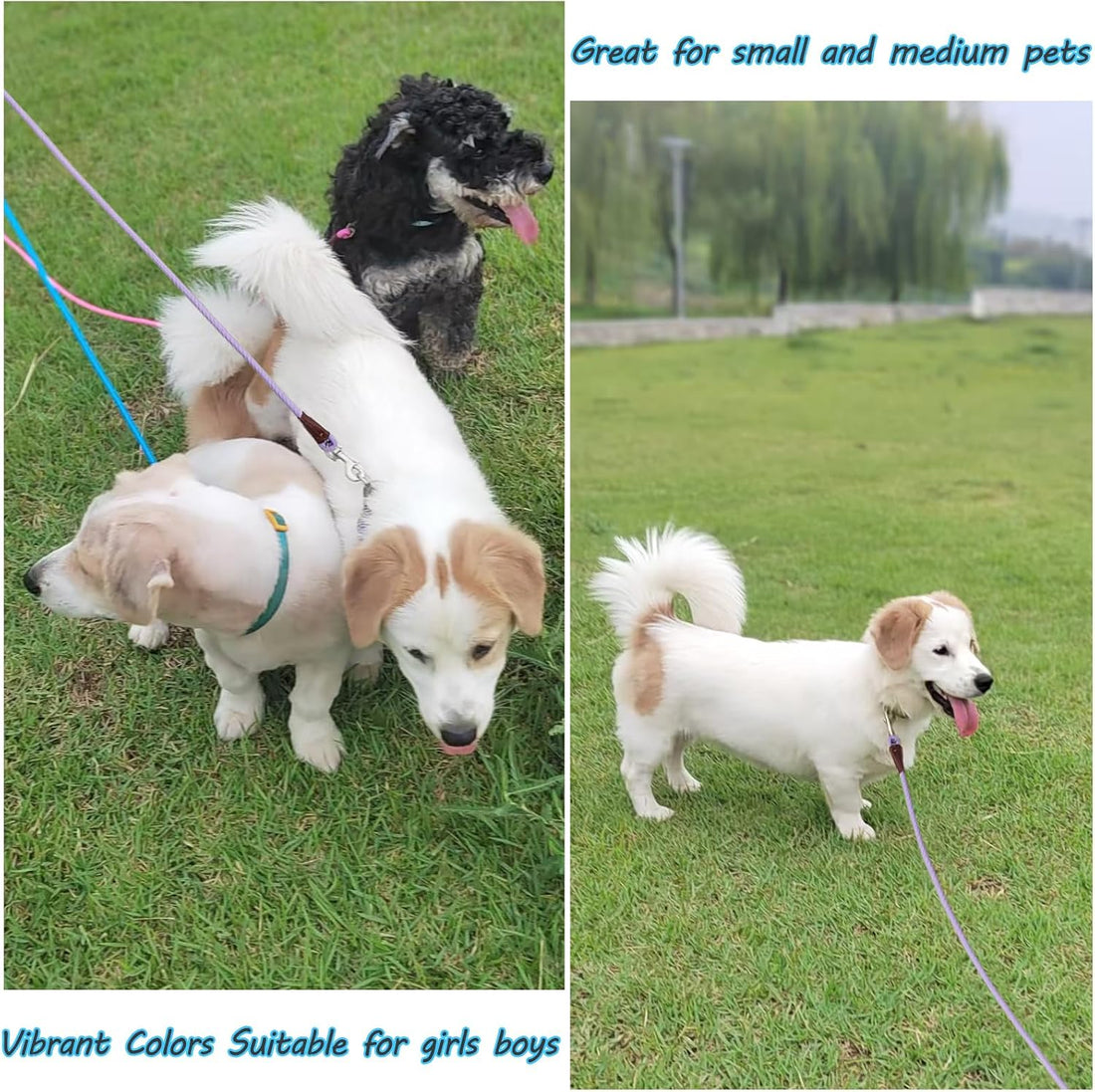 MayPaw Small Rope Dog Leash 6FT 8FT 10FT