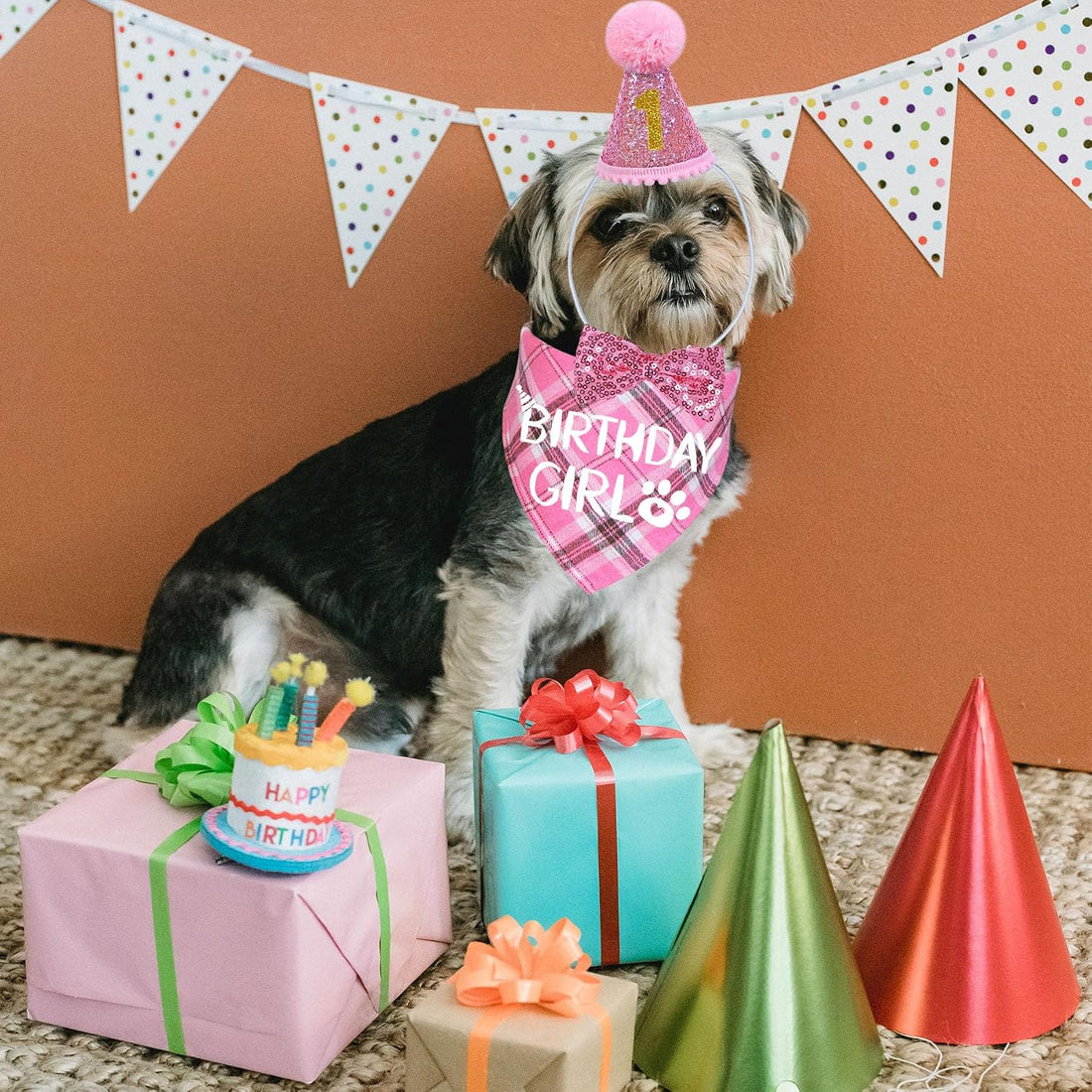 STMK Dog Birthday Outfits, Multi Size Dog Birthday Hat Dog Birthday