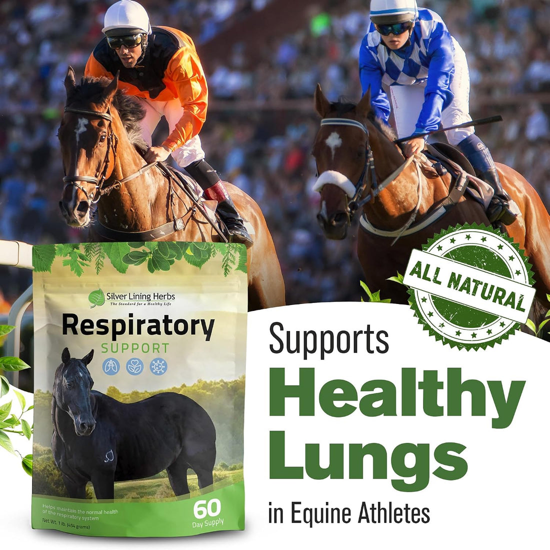 Silver Lining Herbs Respiratory Lung Support for Horses - 1 lb