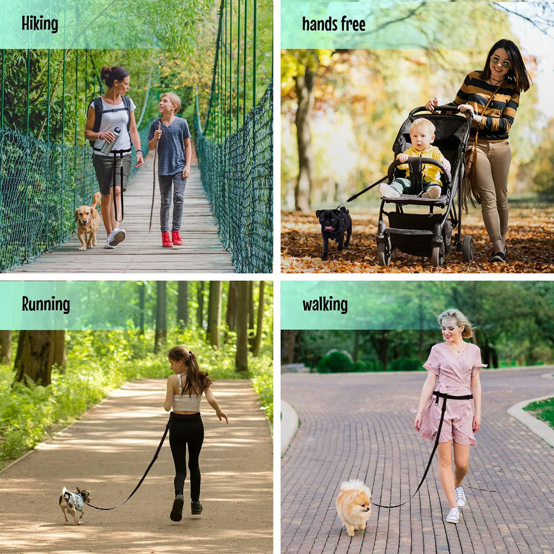 The Buddy System - Hands Free Dog Leash - Small Dog, Large Belt