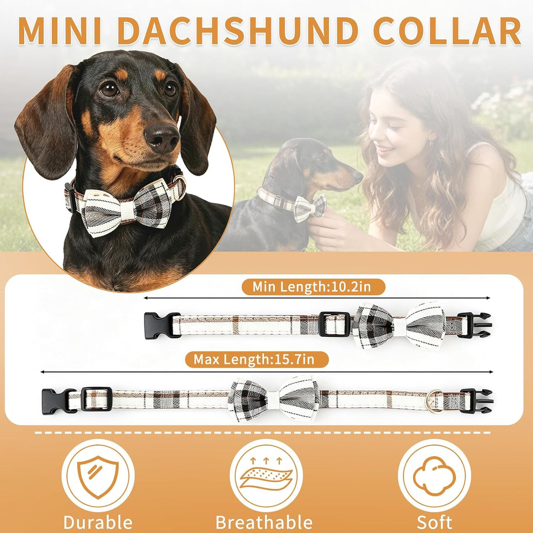Dachshund Collar with Detachable Bow Tie