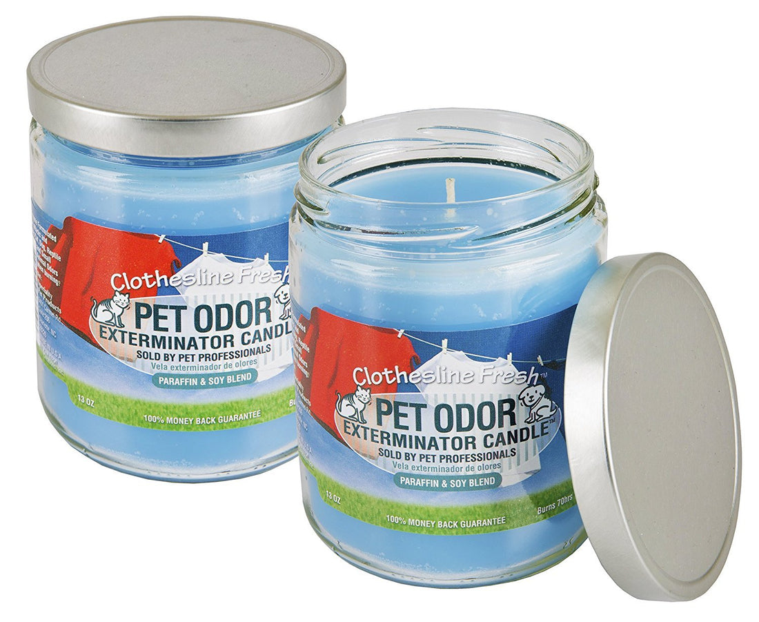 Pet Odor Exterminator Specialty Pet Products Clothesline Fresh 13 Oz