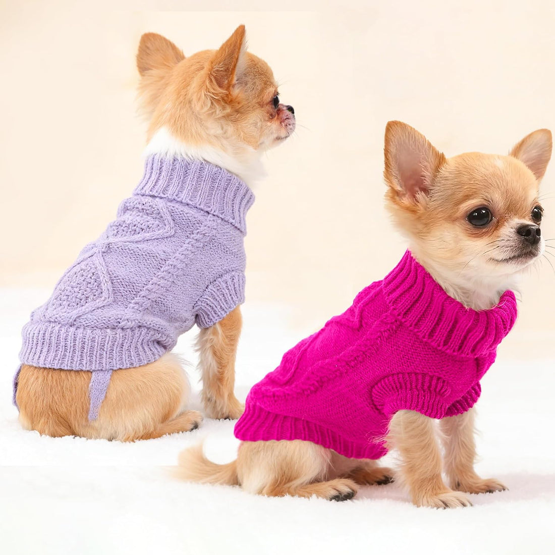 2 Pieces Dog Sweater for Small Dogs Chihuahua Clothes Spring Winter