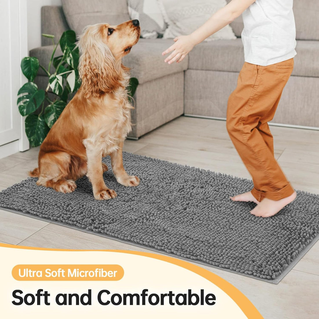 Absorbent Dog Door Mat for Muddy Paws
