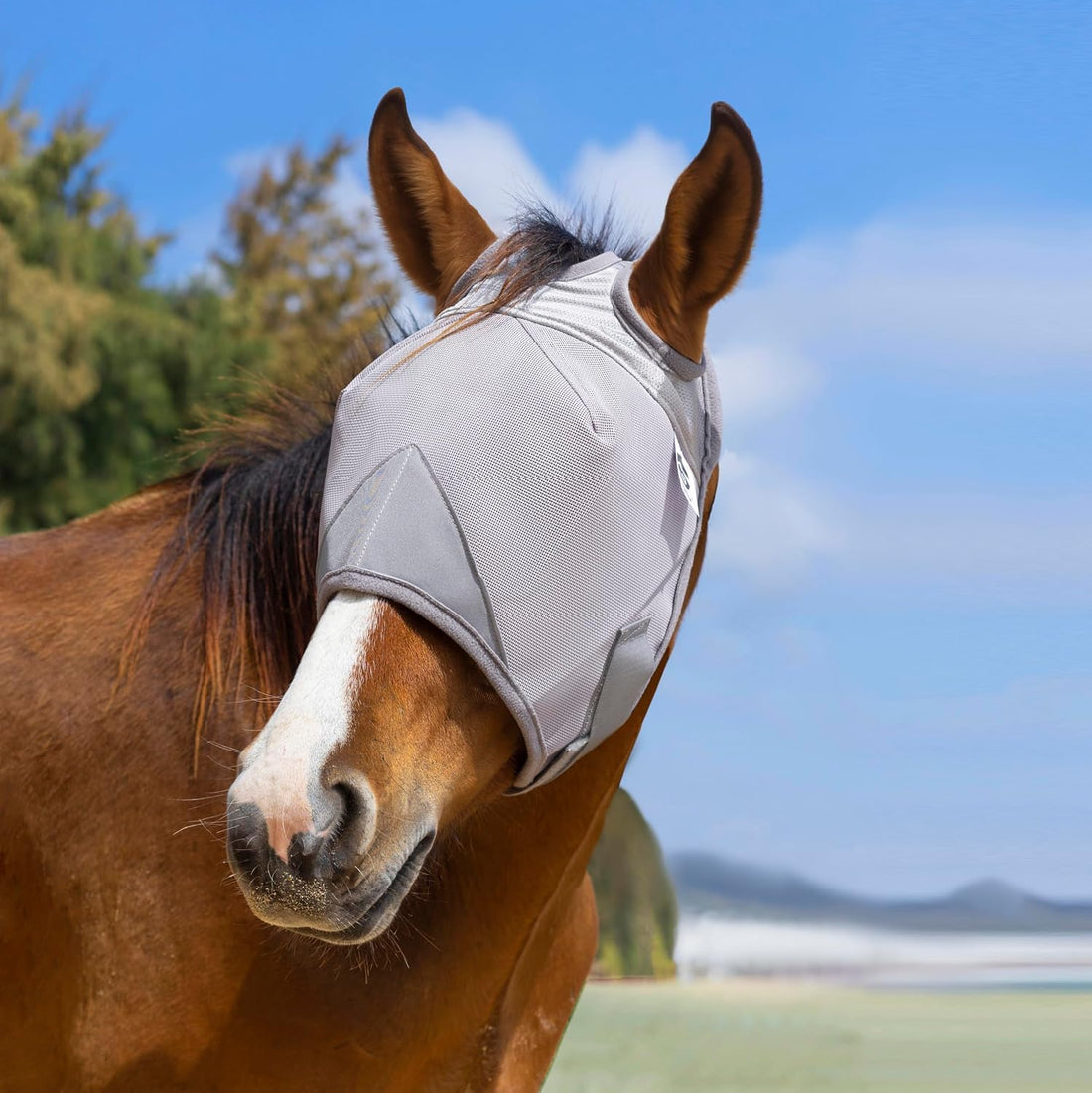 Raelitego Horse Fly Mask Without Ears, Breathable Mesh UV Protection