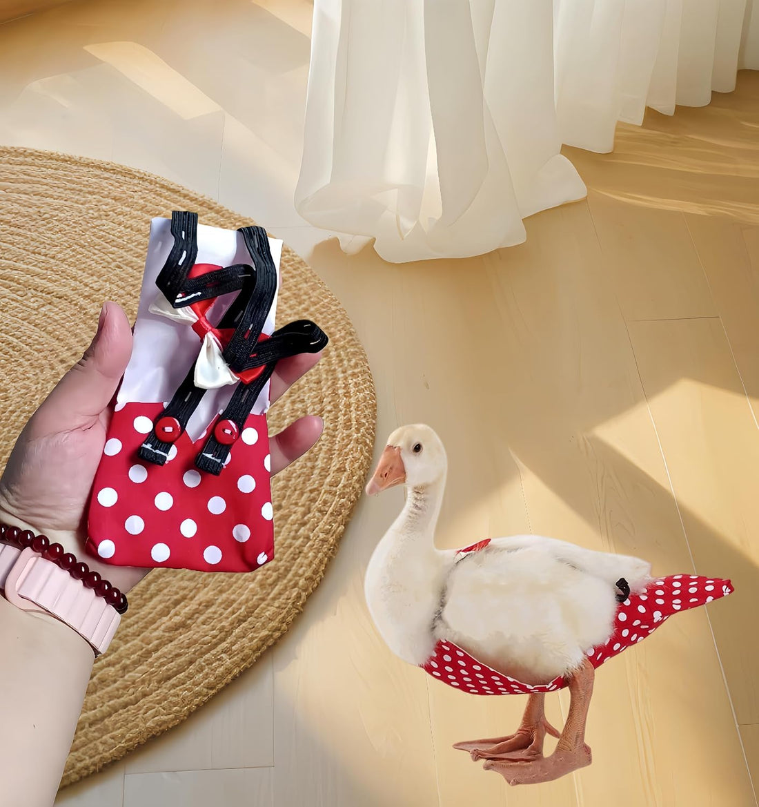 2 Pack Chicken Diapers for Hens, Roosters, Diapers for Ducks
