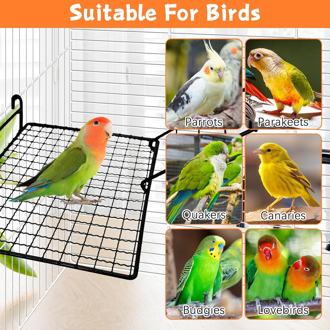 BNOSDM Stainless Steel Grid Platform for Parakeet 4 PCS Bird Perches