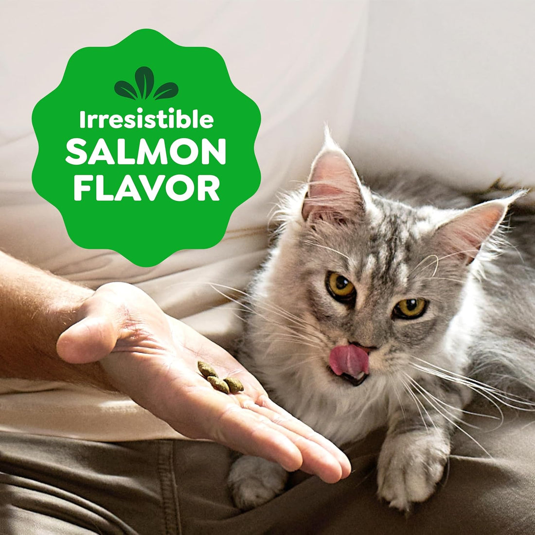 Greenies Feline Smartbites Skin & Fur Health Cat Treats, Salmon
