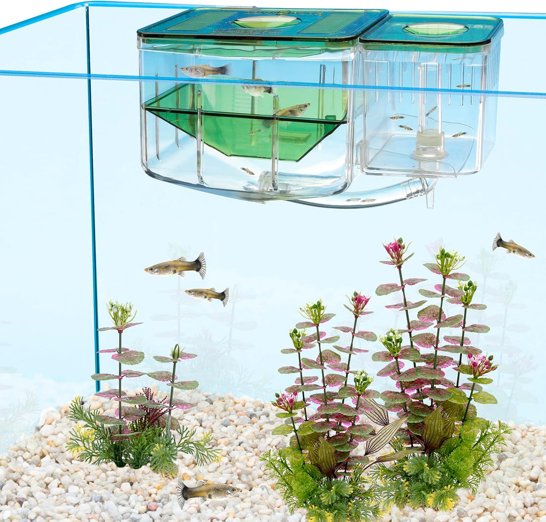 Penn-Plax AN2 Aqua Nursery and Hatchery Breeding Box for Your Aquarium