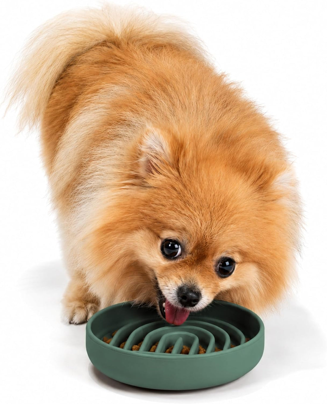 Slow Feeder Dog Bowl - Silicone Dog Bowl, Small, 6" x 1.25"