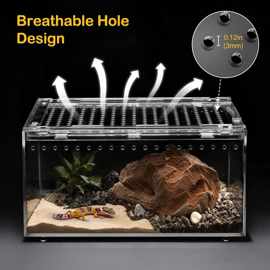 Large Reptile Tank PC Starter Kit, Magnetic Lid Tarantula Enclosure