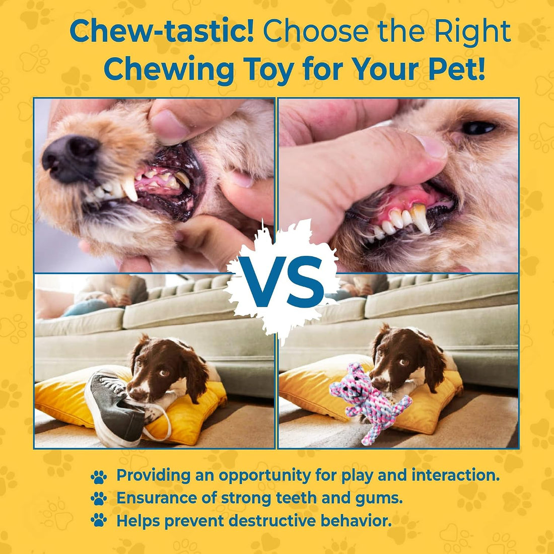 SunGrow Teddy Bear Puppy Teething Toy