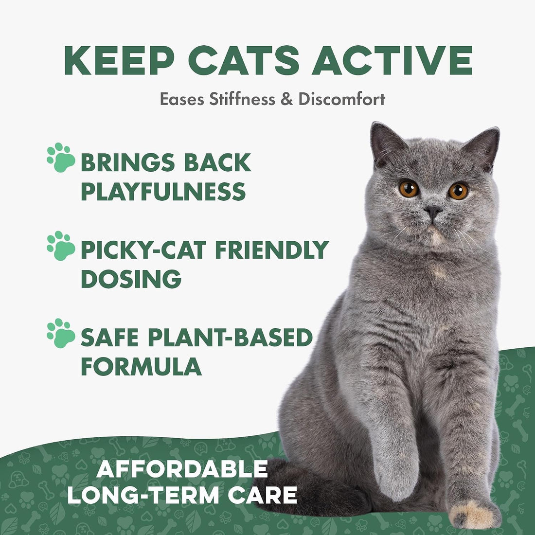 Cat Joint Supplement and Mobility Support