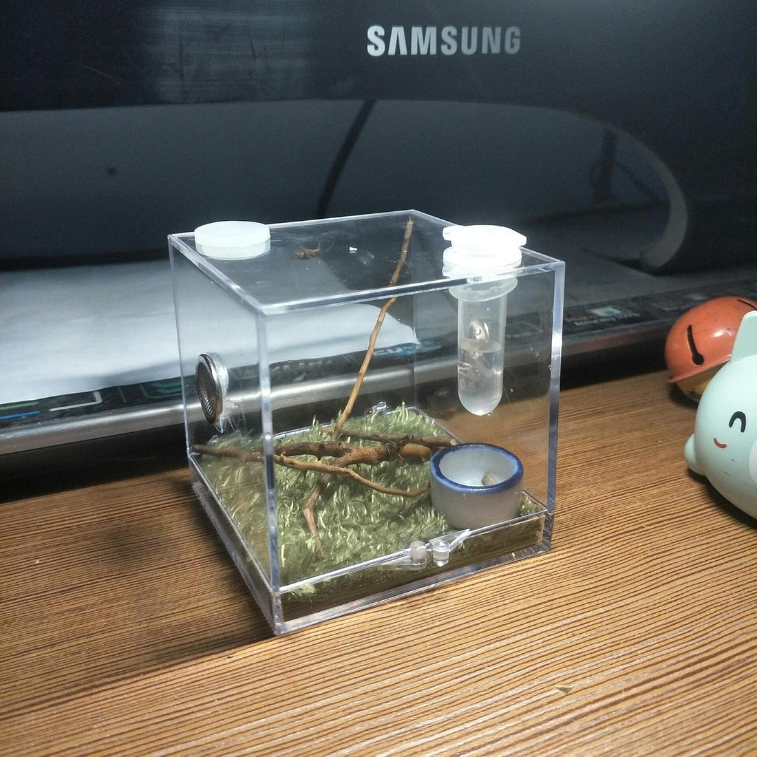 AWXZOM Spider Terrarium, Acrylic Reptile Breeding Box Jumping Spider