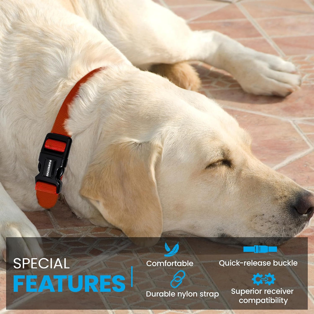 3/4" Orange Replacement Collar Strap