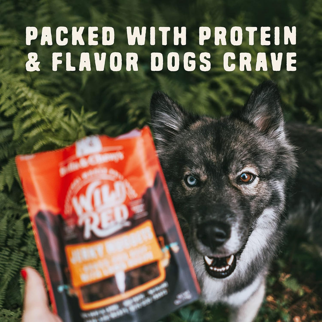Stella & Chewy's Wild Red Jerky Nuggets