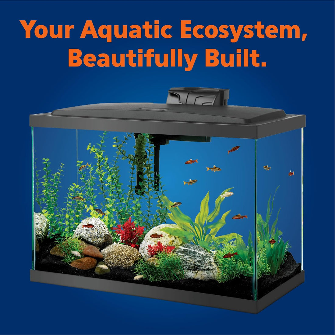 Aqueon Glass 20 Gallon Long Tank for Aquariums & Terrariums