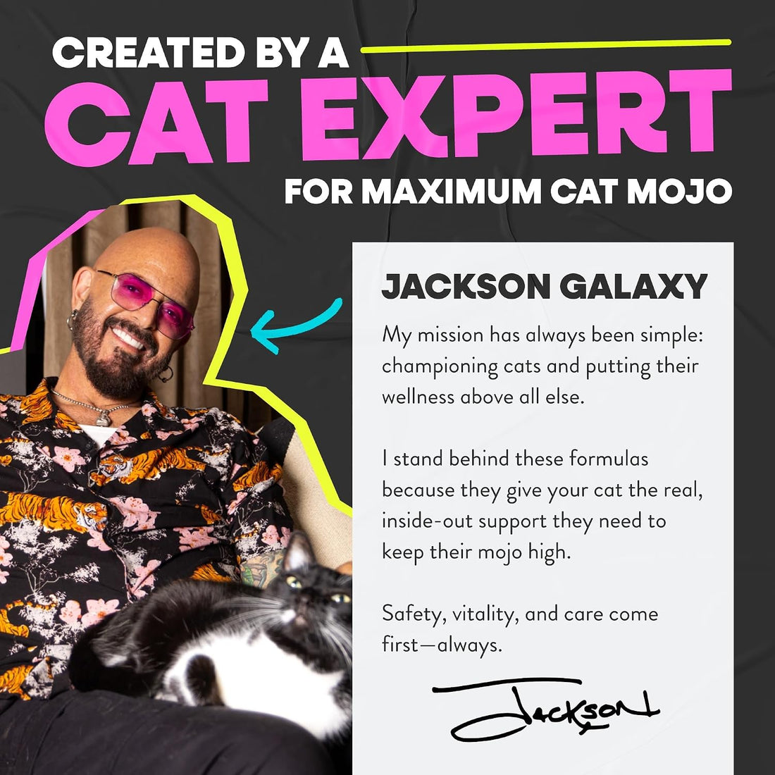 Jackson Galaxy Vitamin B12 for Cats, Liquid Daily Supplement Drops