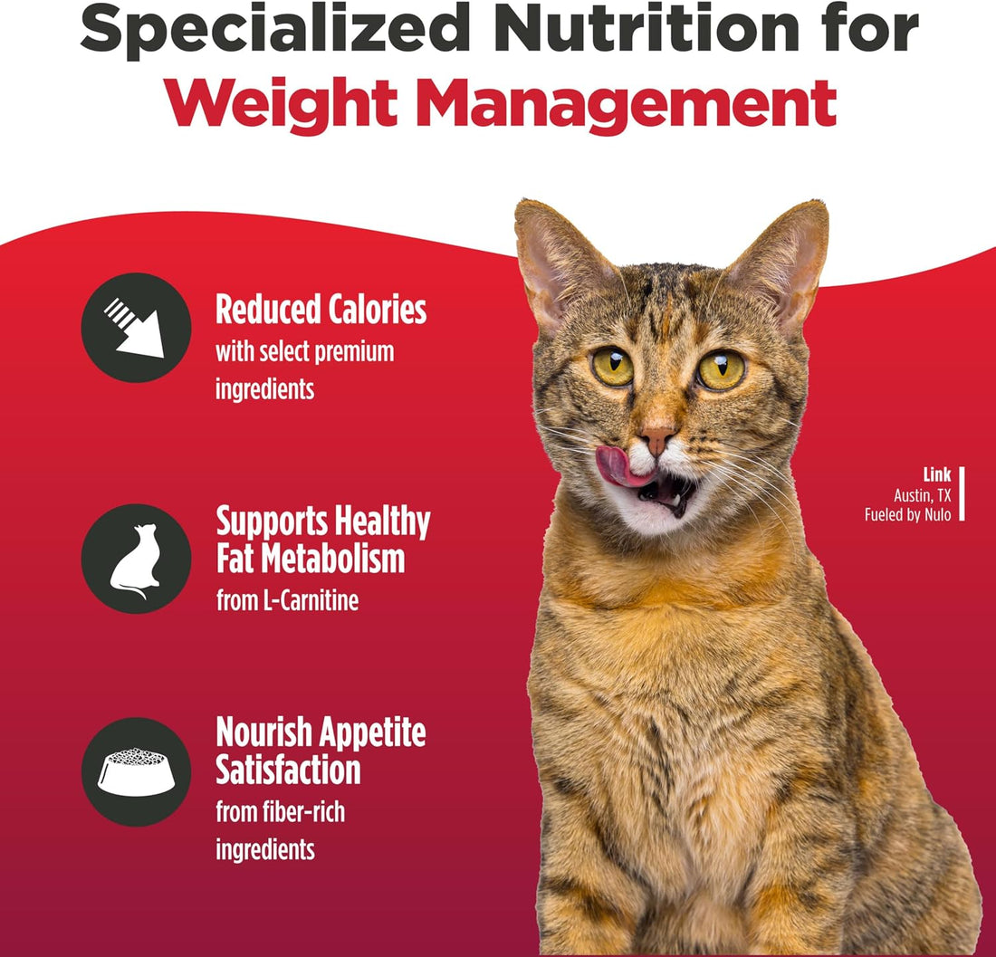 Nulo FreeStyle Trim Grain-Free Dry Cat Food, Salmon & Lentils, 4 lb