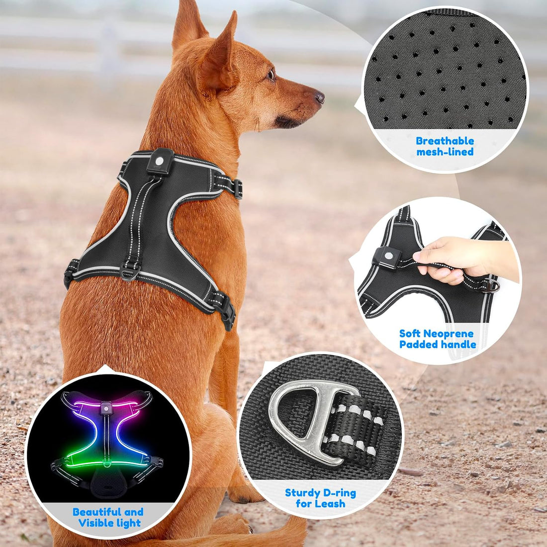 Light Up Dog Harness, LED Rechargeable Safety Dog Harness for Night